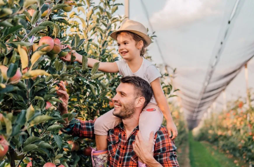 Must-Visit Fall Festivals in Omaha