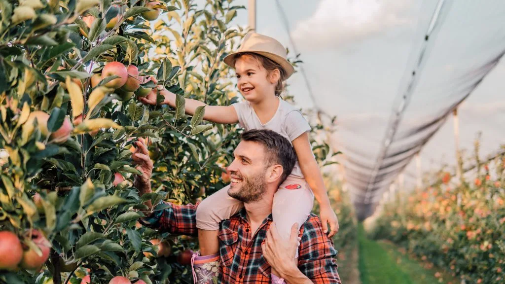 Must-Visit Fall Festivals in Omaha