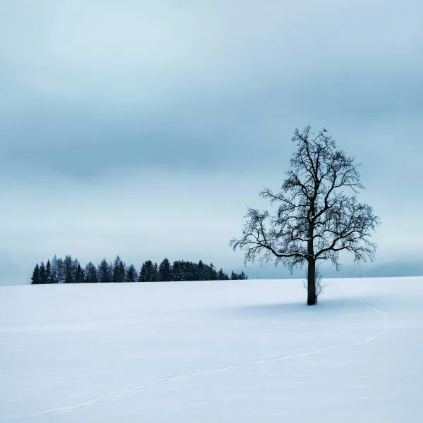 Winterization Tips