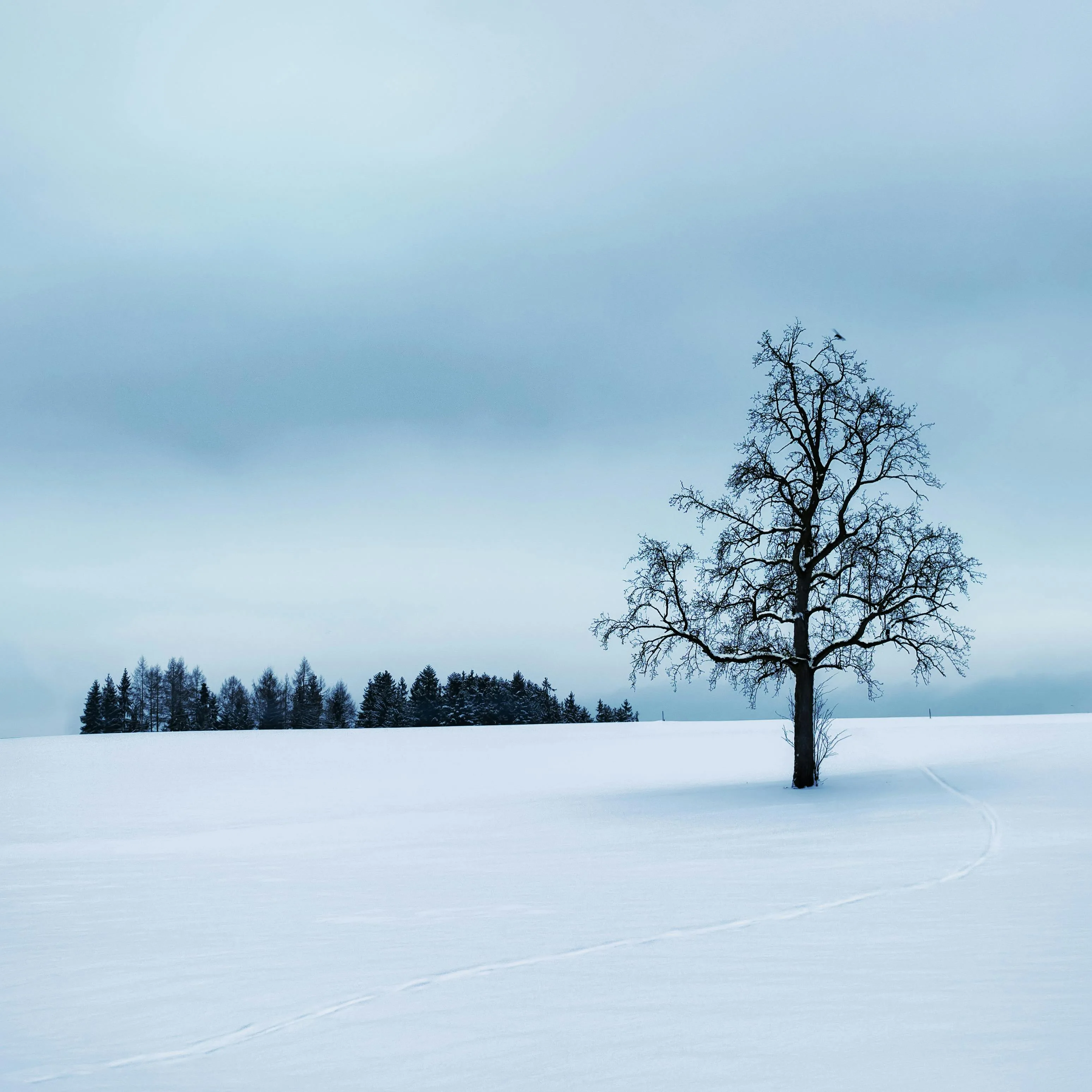 Winterization Tips